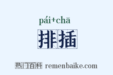 排插是什么意思的图片